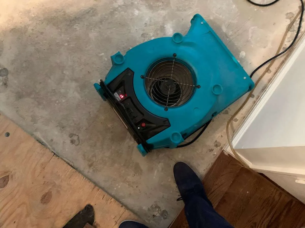 Air mover drying subfloor during Commercial Water Damage Restoration in Fraser